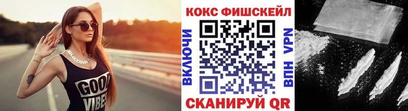 Кокаин Fish Scale  Купить закладки  Котельники 