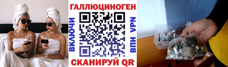 Псилоцибиновые грибы ЛСД  Купить где  Котельники 